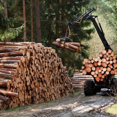 Forestry